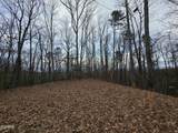 Lot 4 Deer Ridge Lane - Photo 15