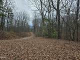 Lot 4 Deer Ridge Lane - Photo 17