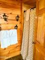 2748 Cats Paw Lane - Photo 39