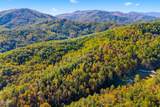 5.37 Acres Reece Hollow - Photo 10
