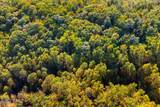 5.37 Acres Reece Hollow - Photo 12