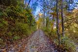 5.37 Acres Reece Hollow - Photo 3