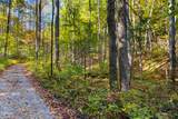 5.37 Acres Reece Hollow - Photo 4