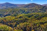 5.37 Acres Reece Hollow - Photo 9
