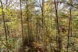 2015 Bird Ridge Road - Photo 38
