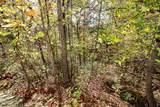 2015 Bird Ridge Road - Photo 39
