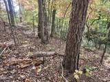 Lot 11 Bluff Mtn. Rd. - Photo 10