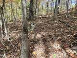 Lot 11 Bluff Mtn. Rd. - Photo 11