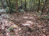 Lot 11 Bluff Mtn. Rd. - Photo 12