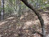 Lot 11 Bluff Mtn. Rd. - Photo 5