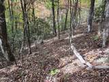 Lot 11 Bluff Mtn. Rd. - Photo 8