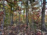Lots 2/3/4 Sulpher Springs Way - Photo 14