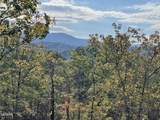 Lots 2/3/4 Sulpher Springs Way - Photo 15