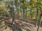 Lots 2/3/4 Sulpher Springs Way - Photo 2