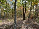 Lots 2/3/4 Sulpher Springs Way - Photo 4