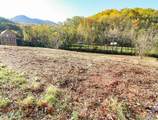 Lot 8 Thomas Headrick Road - Photo 8