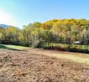 Lot 8 Thomas Headrick Road - Photo 9