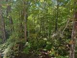 Lot 17 Deer Path Lane - Photo 2