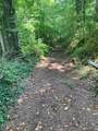 642 Snowflower Circle - Photo 41
