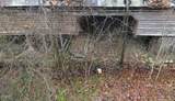 Lot Tr3 Gists Creek Road - Photo 14