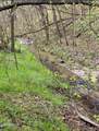 Lot Tr3 Gists Creek Road - Photo 3