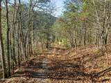 3461 Lost Branch Road - Photo 46