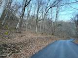 14 ac Horton Ford Road - Photo 5