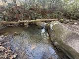 805 Bogard Creek Road - Photo 13