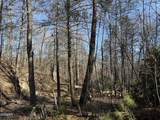 805 Bogard Creek Road - Photo 3