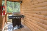 2423 Paradise Falls Way Way - Photo 49