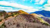 Tract A Mountain Ash Way - Photo 46