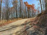Tract A Mountain Ash Way - Photo 9
