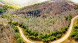 Tract B Mountain Ash Way - Photo 37