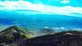 Tract B Mountain Ash Way - Photo 45