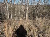 Lot 2 Baldwin View Drive - Photo 4