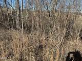 Lot 03 Baldwin View Drive - Photo 7