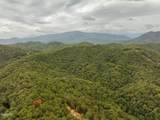 0 Mitchell Hollow Road - Photo 11