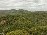 0 Mitchell Hollow Road - Photo 12
