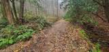 0 Mitchell Hollow Road - Photo 14