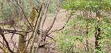 0 Mitchell Hollow Road - Photo 15