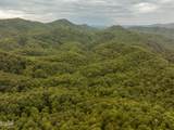 0 Mitchell Hollow Road - Photo 21
