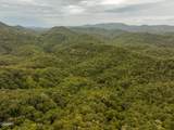 0 Mitchell Hollow Road - Photo 22