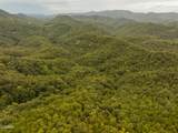 0 Mitchell Hollow Road - Photo 23