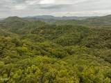 0 Mitchell Hollow Road - Photo 24