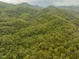 0 Mitchell Hollow Road - Photo 27