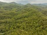 0 Mitchell Hollow Road - Photo 28