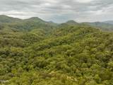 0 Mitchell Hollow Road - Photo 29