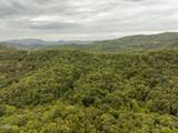 0 Mitchell Hollow Road - Photo 31