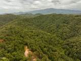0 Mitchell Hollow Road - Photo 7