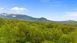 00 Mountain Laurel Way - Photo 12